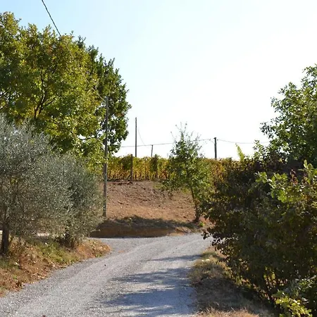 Costa Dei Platani Alloggio per agriturismo *
