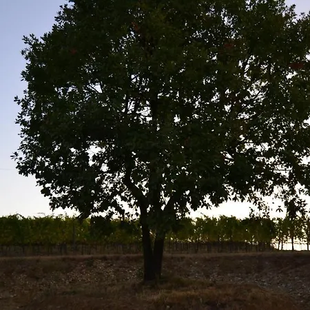 Costa Dei Platani Alloggio per agriturismo