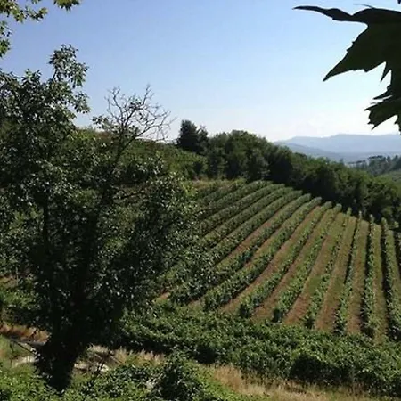 Costa Dei Platani Alloggio per agriturismo