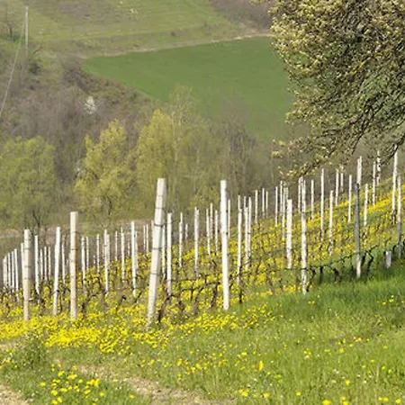 Costa Dei Platani * Acqui Terme